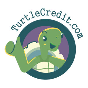 Green and Blue Text around a turtle